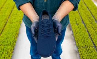 美しきジャパンブルー。徳島の天然藍で染め上げられたシューズが「Allbirds」から数量限定で登場