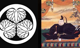 そうだったの！？徳川家の家紋「葵紋」の由来と歴史を紹介【どうする家康】