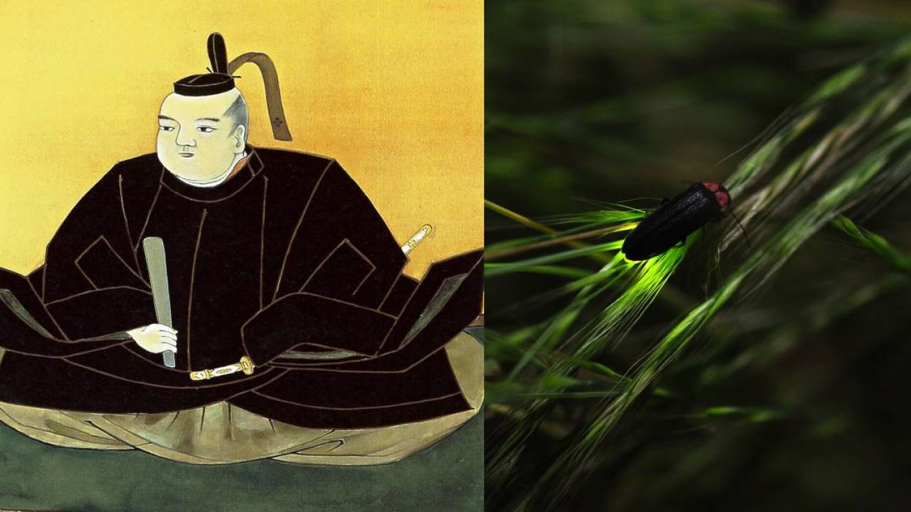 妻と妹の七光り?で大出世!蛍大名と呼ばれた戦国武将・京極高次の出世までの軌跡を紹介